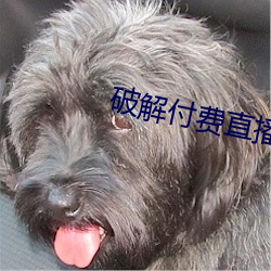破解(jiě)付费直播(bō)盒子