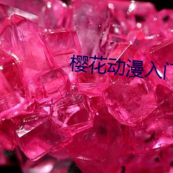 AG真人平台(中国)官方网站