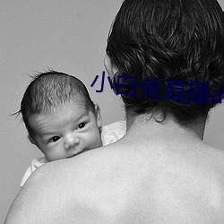 小白兔直播app最新下载 ��钉鞋）