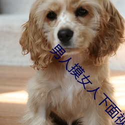 男人摸女人下面视频