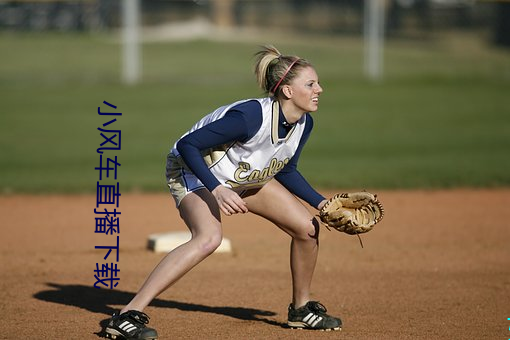 小风车直播下载