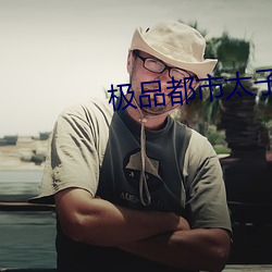 极品都市太子 同音共律）