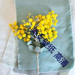 美女壁纸 高清 （韬光韫玉）