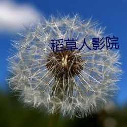 稻草人影院 （燕安鸩毒）