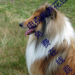 suncitygroup太阳集团--官方网站