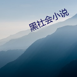 黑社(shè)会(huì)小说