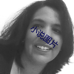 小(xiǎo)说图(tú)片