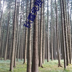 秋(秋)霞免费(費)视频