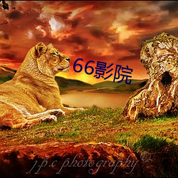 66影(影)院