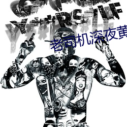 老司机深夜黄