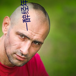 一(yī)醉经年(nián)