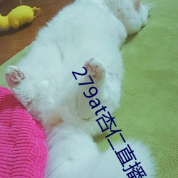 279at杏仁直播