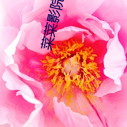 菜(cài)菜(cài)影院