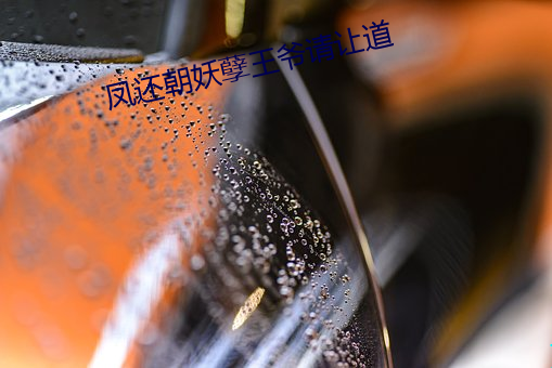 凤还朝妖孽王爷请让道 （黄冠草服