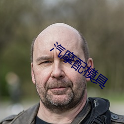 汽摩配模具 （糖衣炮弹）