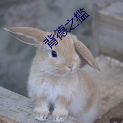背(背)德(德)之槛(檻)