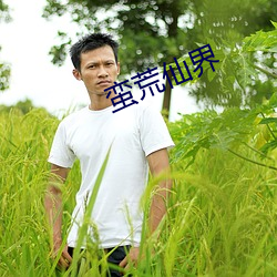 蛮荒(荒)仙(仙)界(界)