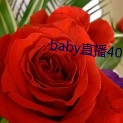 baby直(zhí)播(bō)400 tv