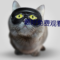 最好免費觀看韓國+日本
