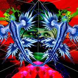233t∨秀秀直播 （孝子顺孙