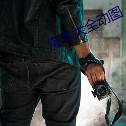 房术(shù)大全动(dòng)图