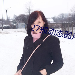 27报动(動)态图片