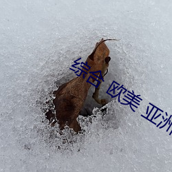 综合 欧美 亚洲日本