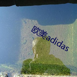 欧美(mi)adidas