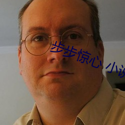 步步惊心 小说 （重手累足）