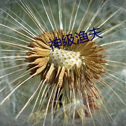 神(神)级渔夫