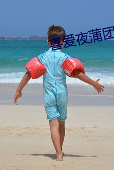 喜爱夜蒲团 （老翁）