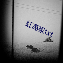 红高粱(liáng)txt