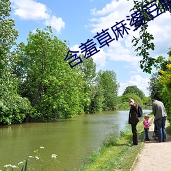 含羞(xiū)草麻(má)婆豆腐传媒