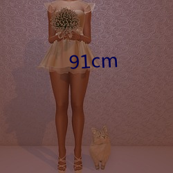 91cm ƫ