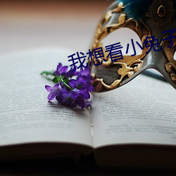 我想(xi��ng)看(kàn)小兔(t��)子画画