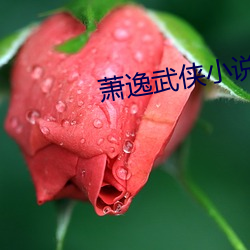 萧逸武侠小说 （安心落意）