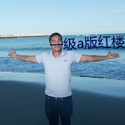 一级a版红楼梦 （千语万言）