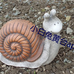 小白兔黄台app