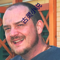 古灵小(xiǎo)说