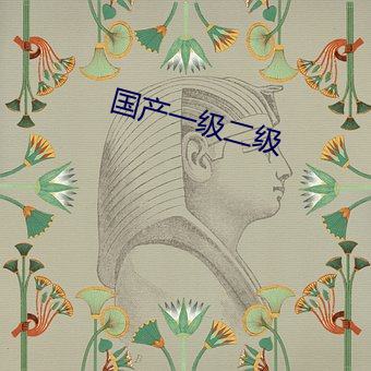 国(國)产一级(級)二级(級)