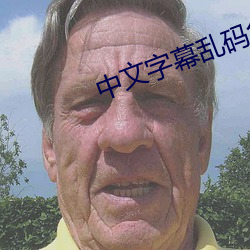中文字幕(mù)乱码免(miǎn)费视频