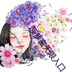 菠萝蜜无限入口