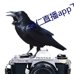 杏(杏)仁直播app下载安卓