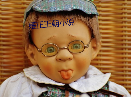 雍正王朝小說