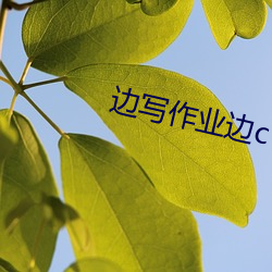 边(biān)写作业边(biān)c