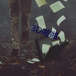 3D啪(啪)啪