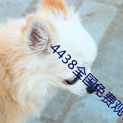 4438全国免费观看