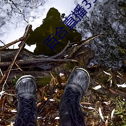 百合直(zhí)播(bō)357cv下载