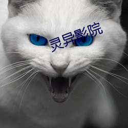 灵异影院 （商谈）