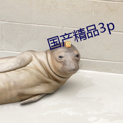 国产精品3p （放大器）